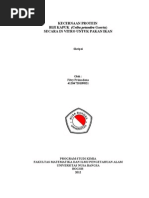 Download Laporan Skripsi Terbaru Pakan Ikan by Sonny Arfan SN137858365 doc pdf