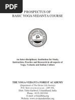 yvfa_prospectus.pdf