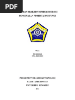 Download Fungi Dan Prosista by Murdiono Mn SN137889090 doc pdf