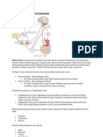 Pengertian Homeostasis Dan Osmoregulasi