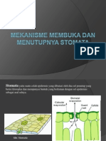 Pembukaan Stomata