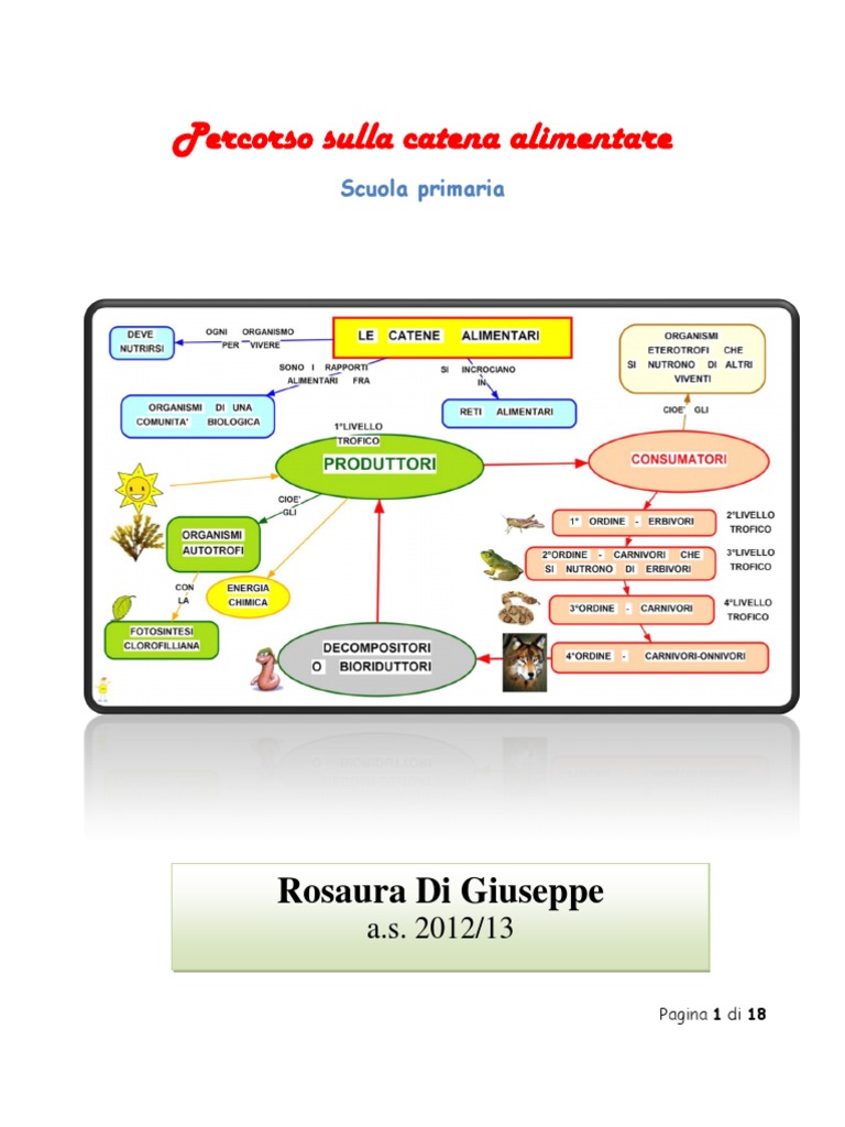 La Catena Alimentare - Scuola Primaria