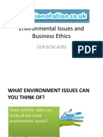 Environmental Issues and Business Ethics