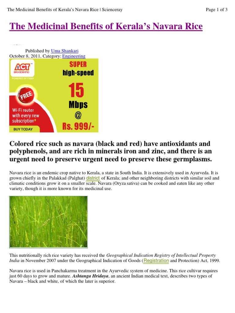 Navara - Rice | PDF | Ayurveda | Rice