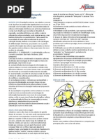 1 Globalização- exercicios