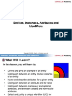 Entities, Instances, Attributes and Identifiers