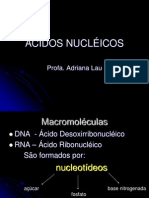 ácidos nucléicos