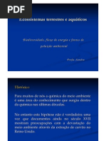 Aula 1 Ecossistemas e Biodiversidade