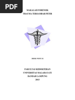 Download MAKALAH TERSAMBAR PETIR by didikwisnu SN137928335 doc pdf