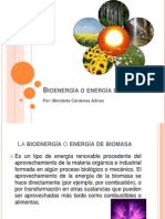 Bioenergía o Energía de Biomasa