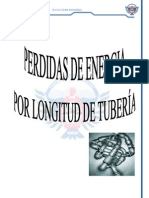 Informe Perdidas en Tuberias