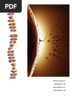 Métodos Barreira-Químicos (FINAL)