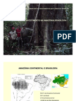 [po]Atração_de_Investimentos_na_Amazônia_Brasileira_(PDF)__Evaristo_Terezo