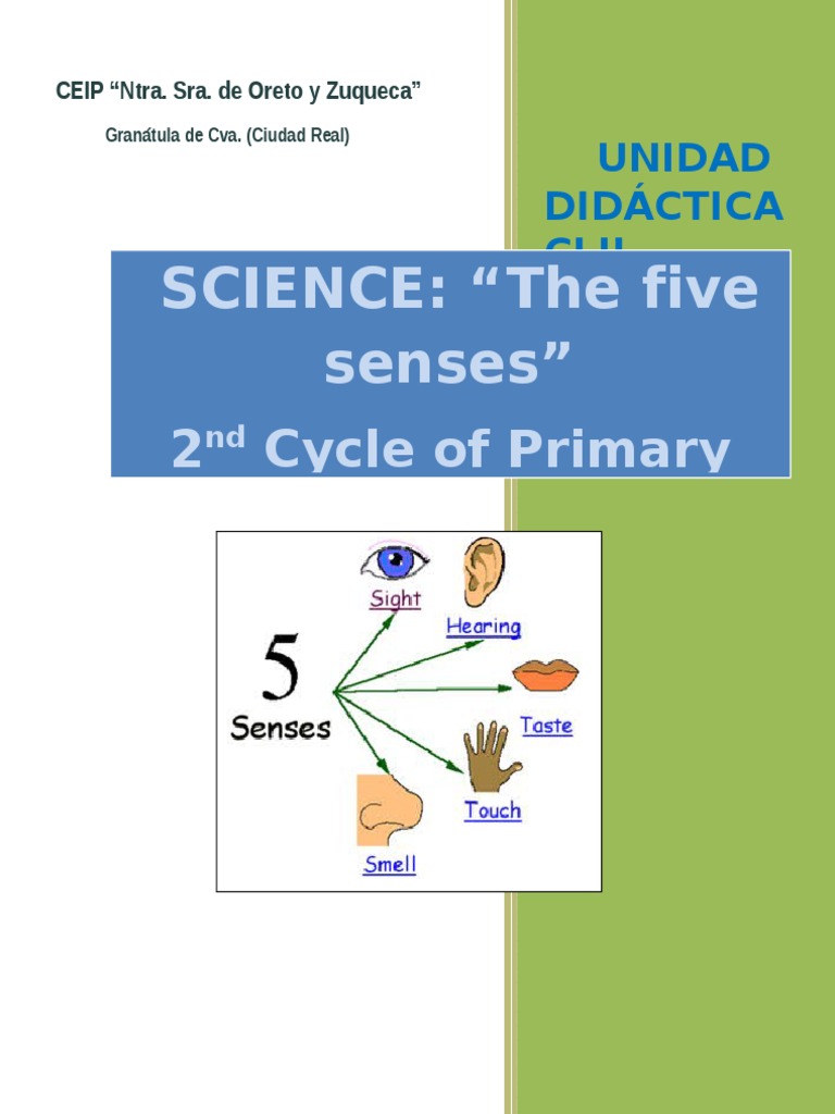 Unit Clil -FIVE SENSES- 2º cycle