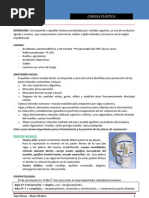 2.- Cirugia PlÔÇástica