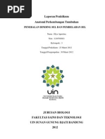 Download Penebalan Dinding Sel Dan Pembelahan Sel by Elya Agustina SN137989192 doc pdf