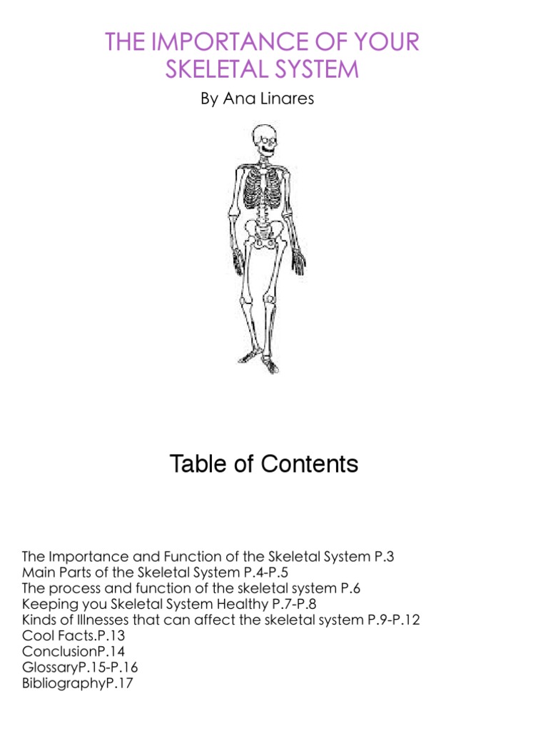 skeletal system importance essay