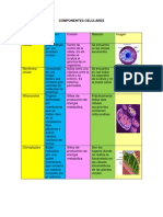 Componentes Celulares