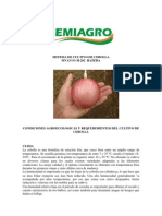 Manual de Cebolla