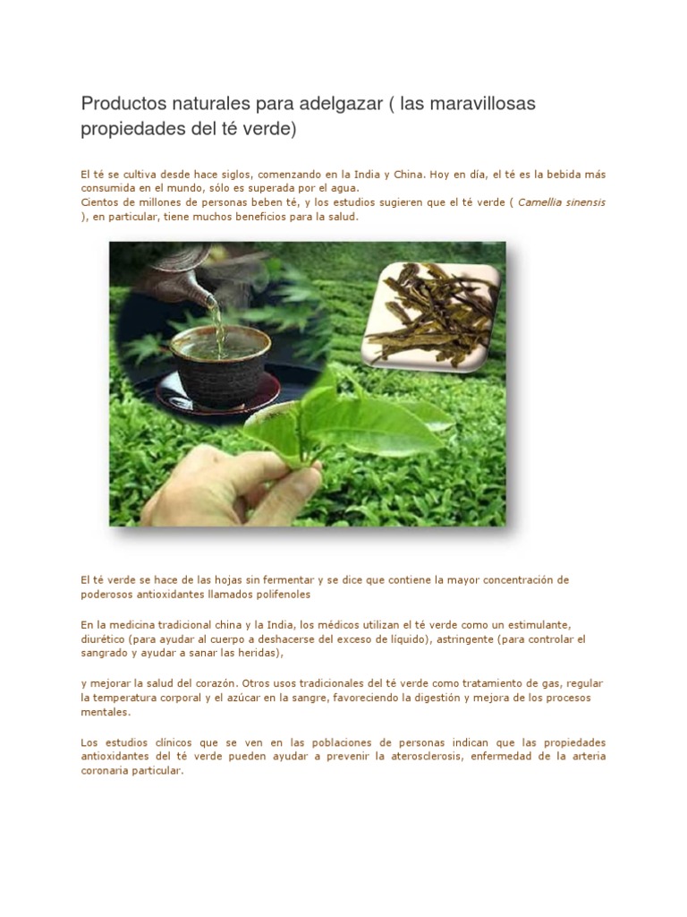 Productos naturales que ayudan a adelgazar y previenen ...