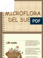 Microflora del suelo: funciones y relaciones