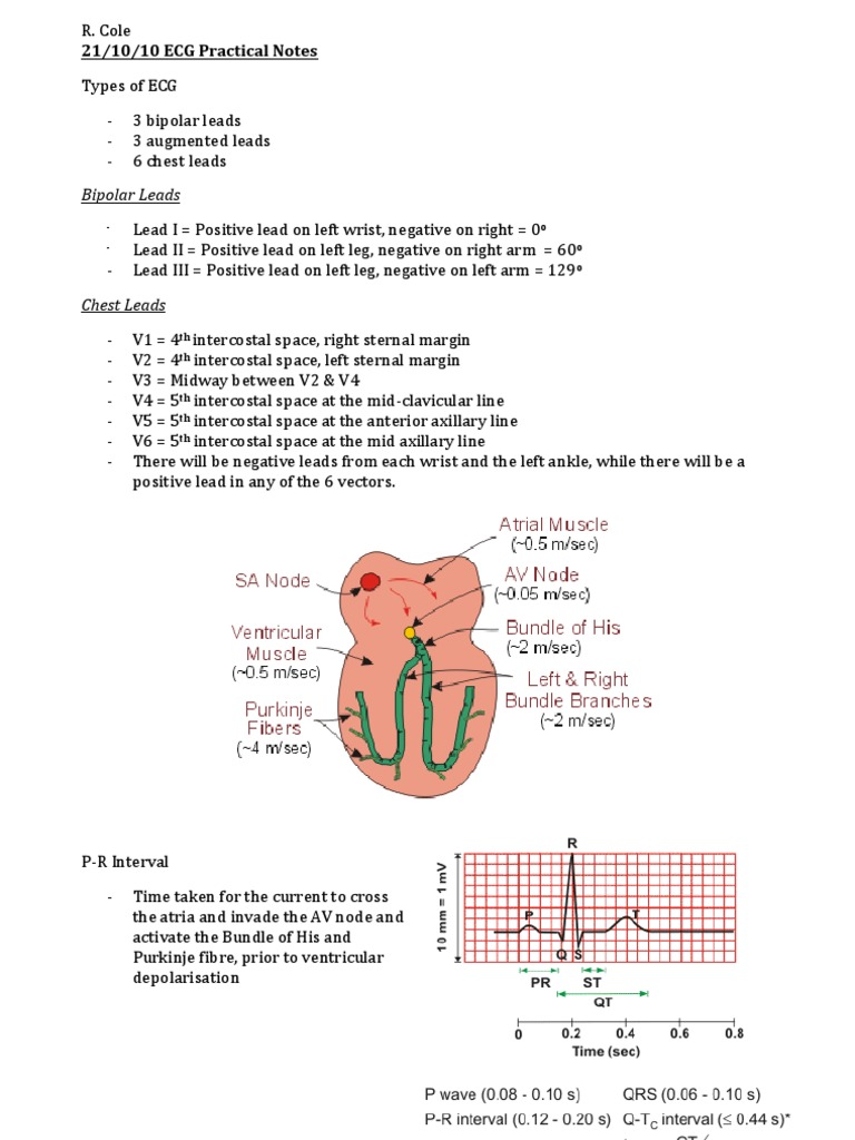ECG Practical Notes and Lead Types | PDF