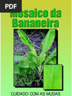 mosaico_bananeira