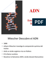 Estructura y función del ADN