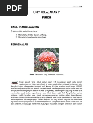 Unit 7 Fungi Pdf