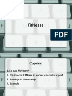 Sisteme Expert- Fitnesse