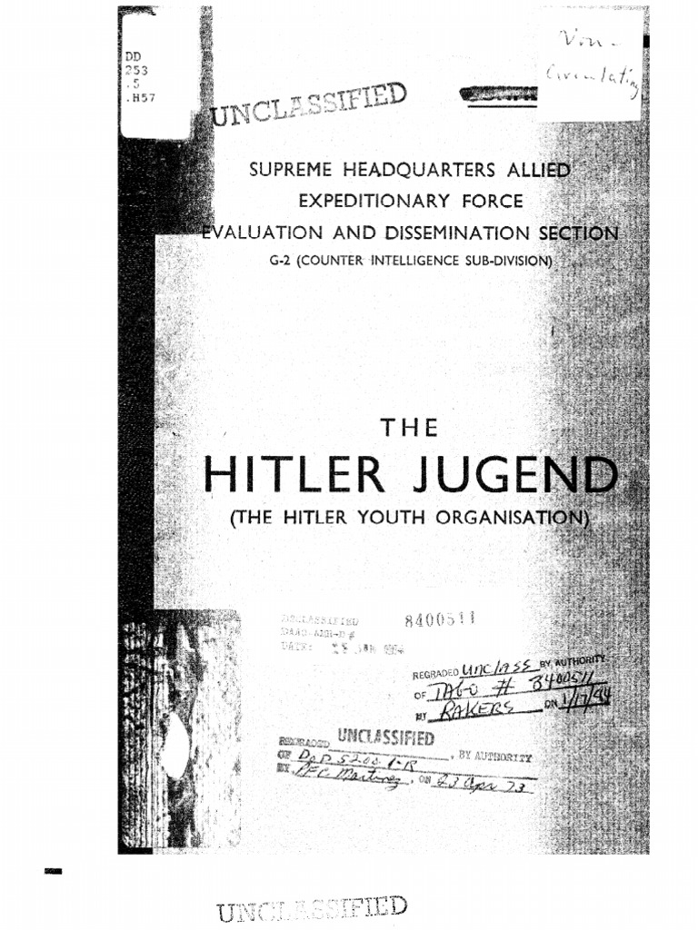 Overview of the Hitler Youth Organization | PDF