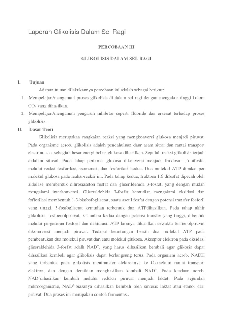 Laporan Glikolisis Dalam Sel Ragi | PDF