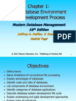 The Database Environment and Development Process: Modern Database Management 10 Edition