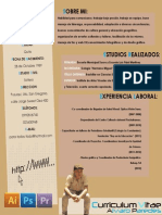 Curriculum Alvaro Paredes PDF