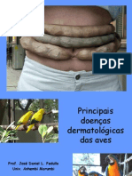 Principais doenças dermatológicas das aves