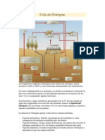 Ciclo Del Nitrc3b3geno4