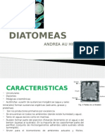 DIATOMEAS