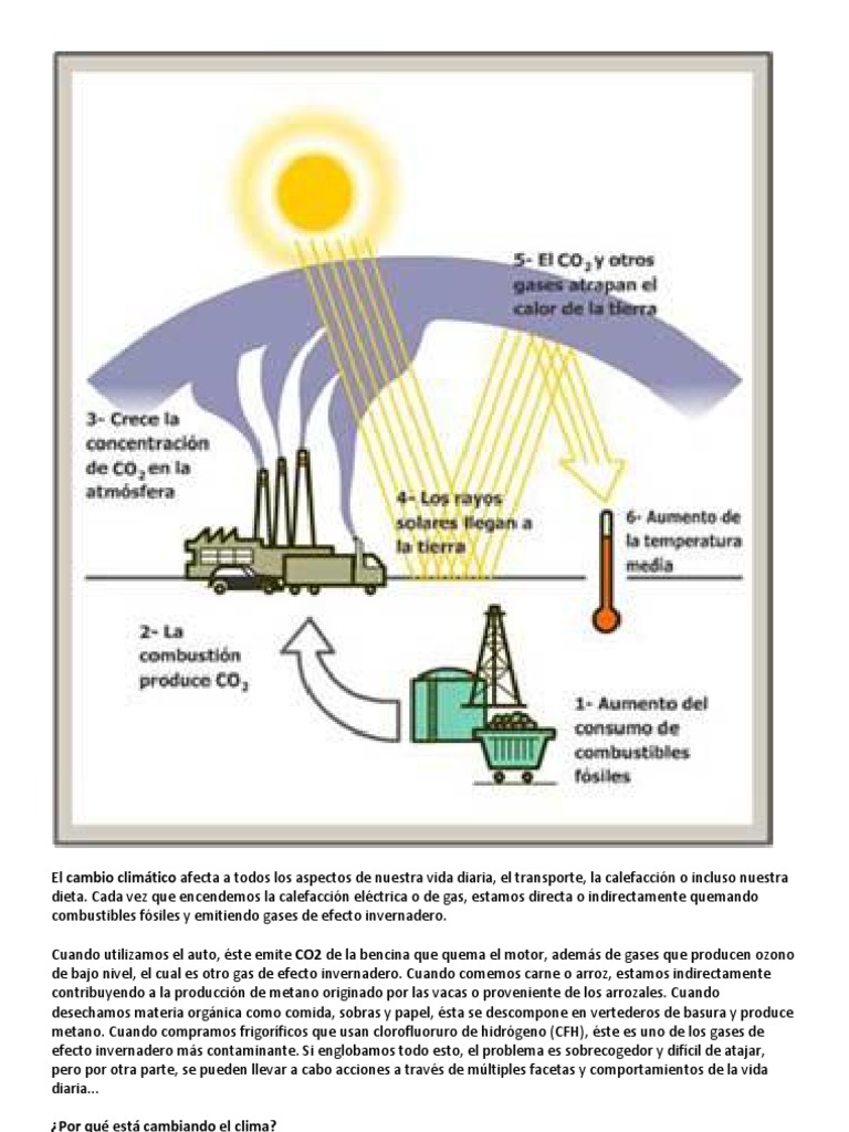 Descubren el efecto de la competencia en el desarrollo de las raíces de las  plantas – Ecotoxsan, image size:768x1024