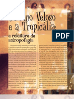 Caetano Veloso e a Tropicália