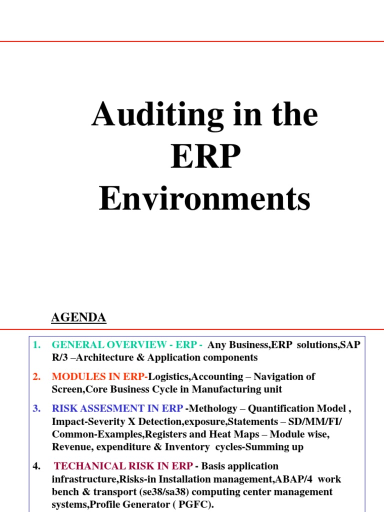 ERP Audit Strategies and Risk Assessment | PDF | Enterprise Resource ...