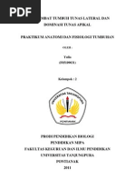 Download Penghambat Tumbuh Tunas Lateral Dan Dominasi Tunas Apikal Fix by Yulia SN138210932 doc pdf