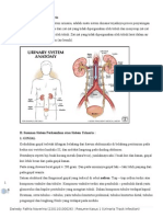 Resume Kasus 1 UTI