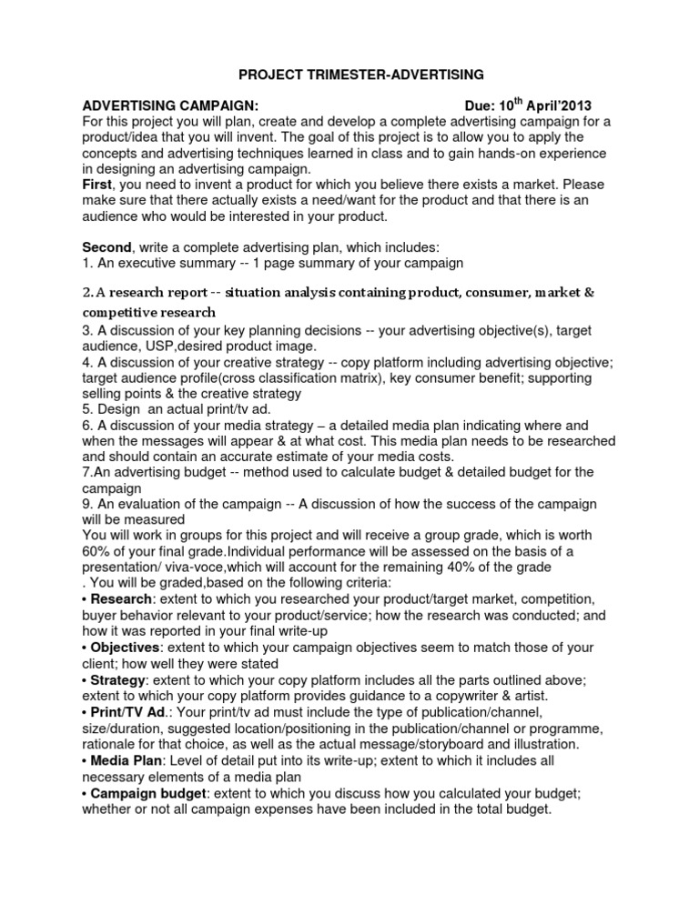 Advertising Campaign Project Guide | PDF | Advertising | Target Audience