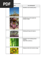 Download Cara Tumbuhan Melindungi Diri Dari Musuhnya by Heru Indaryanto SN138243681 doc pdf