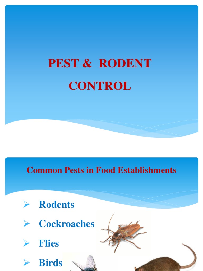 Pest Control