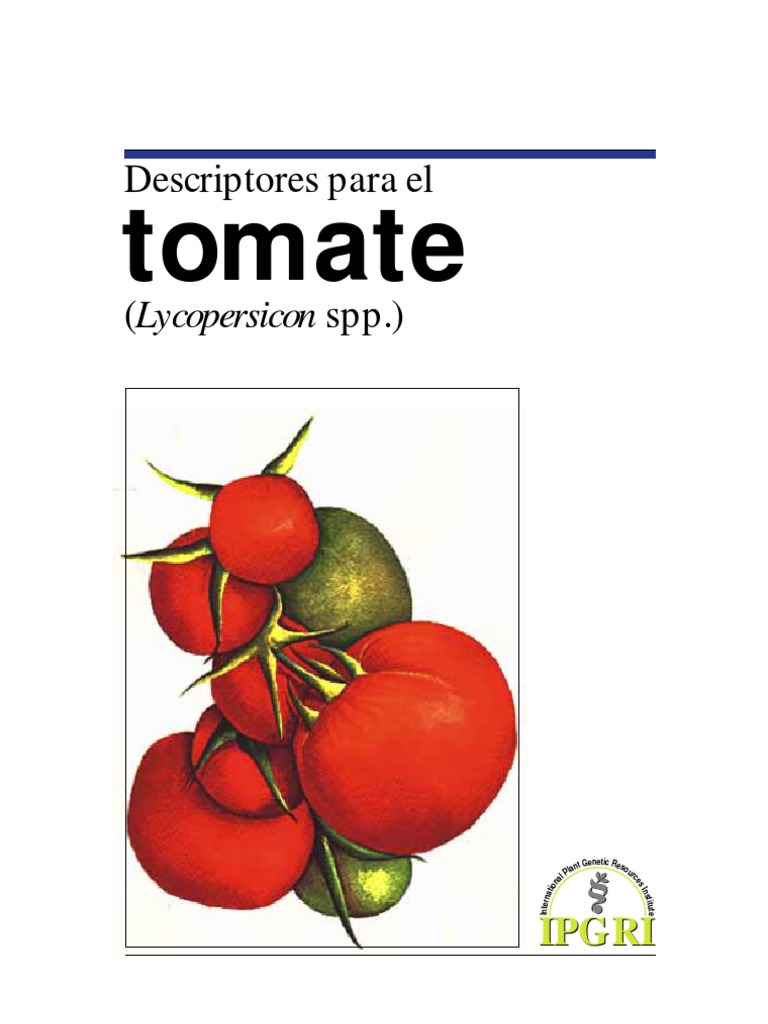 Descriptores del tomate según IPGRI | PDF | Fruta | Roca (geología)