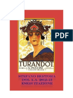 TURANDOT: La Genesi, Il Melodramma, La Critica