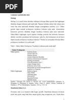 Download Leukemia Akut by Domiko Widyanto SN138253617 doc pdf