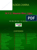 psicologiacaninamauricioperezlopez.ppt