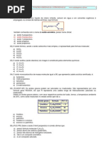 Exerc de Funcoes Oxig e Nitrog Prof Agamenon